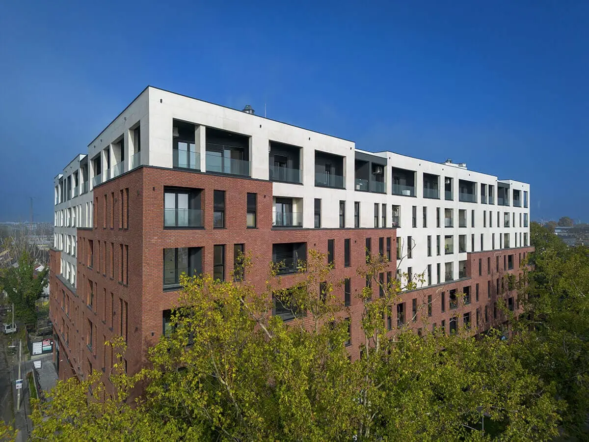 dji_fly_20241117_120808_240_1731858169279_photo