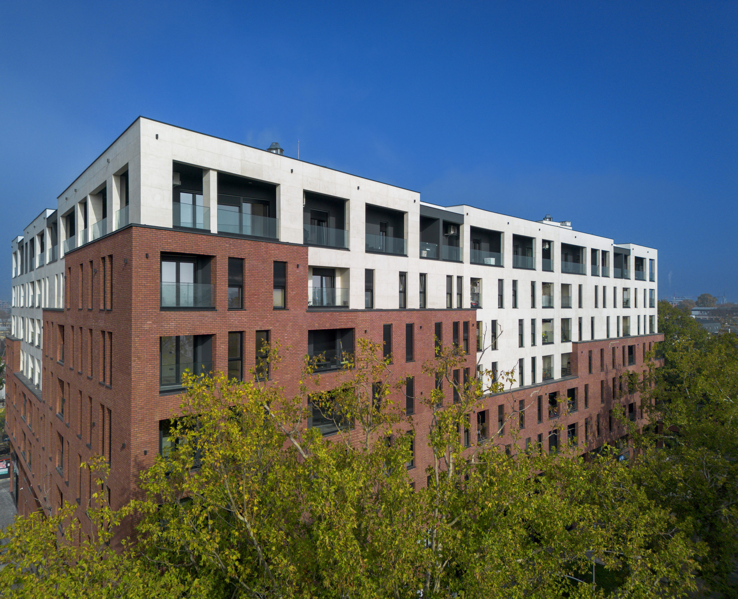 dji_fly_20241117_120808_240_1731858169279_photo_small