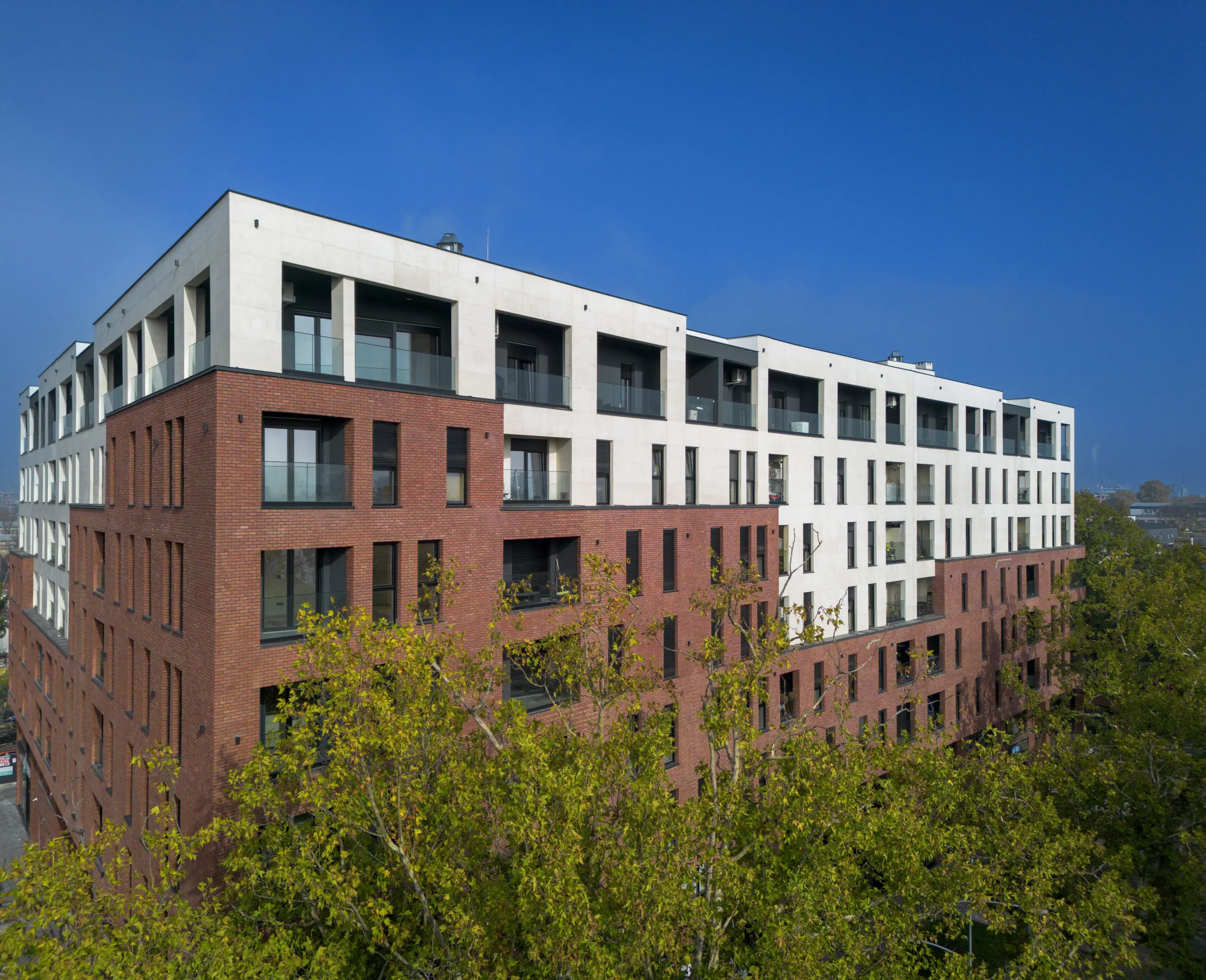 dji_fly_20241117_120808_240_1731858169279_photo_small